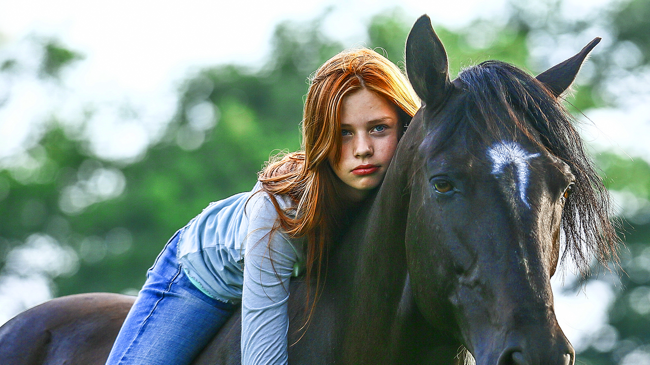 Film ab! - Ostwind 1