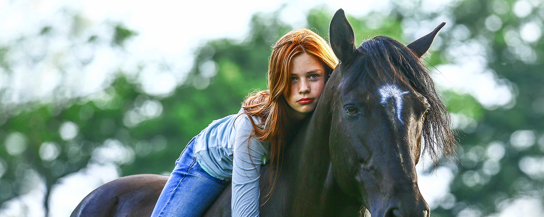 Film ab! - Ostwind 1