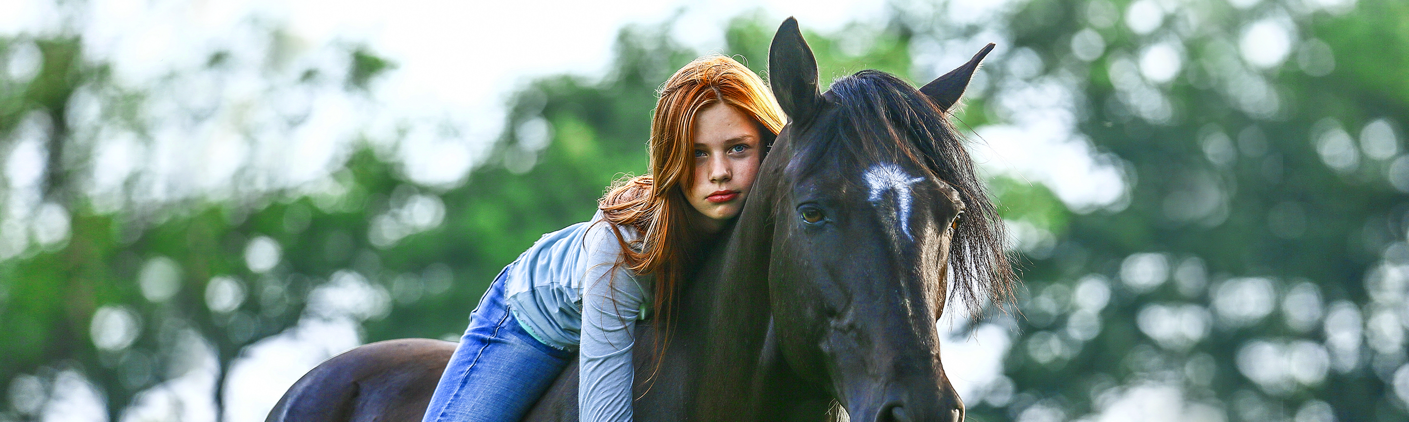 Film ab! - Ostwind 1