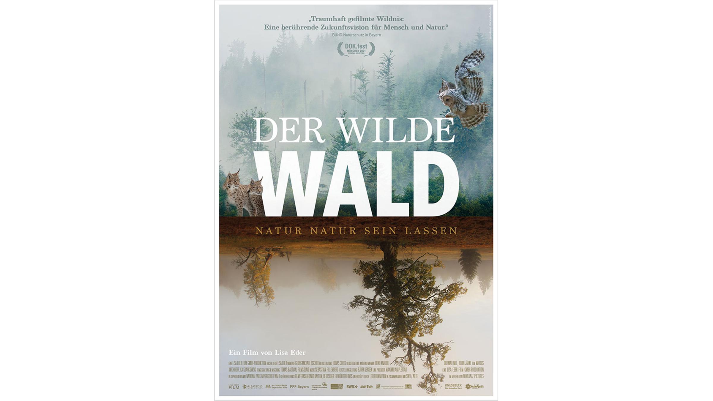 Filmplakat Der wilde Wald