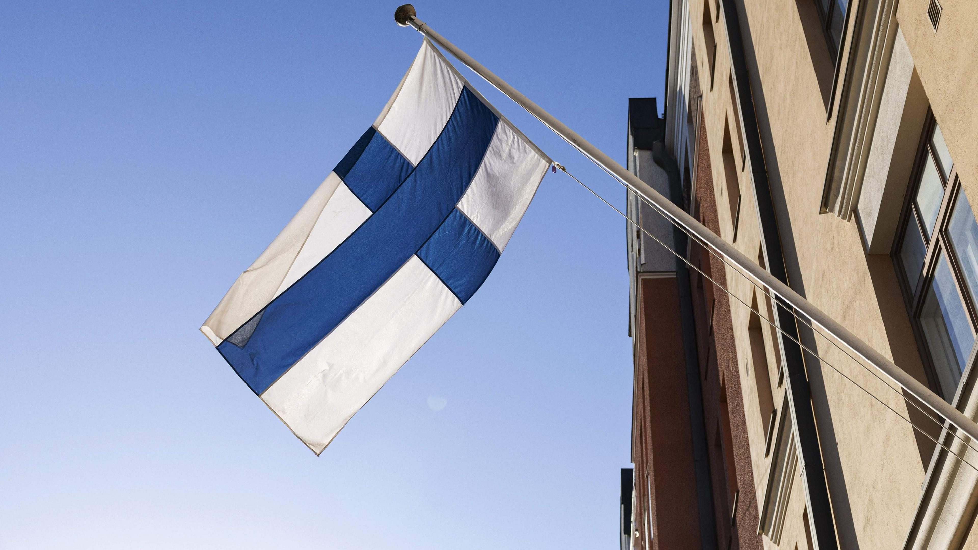 Finnische Fahne 