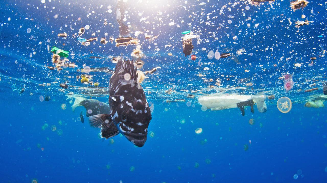 Dutzende Länder sagen Plastikmüll Kampf an