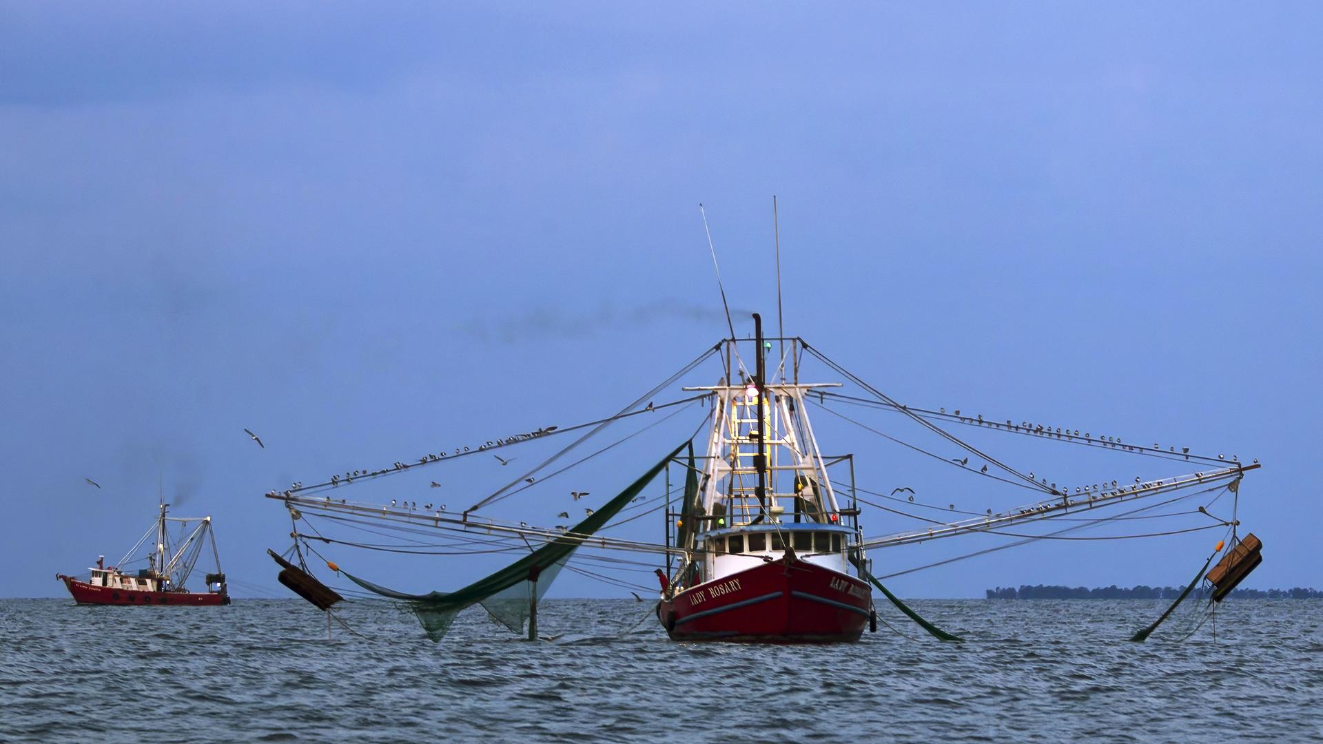Auf dem Meer liegt ein Fischerboot mit ausgefahrenen Netzen.