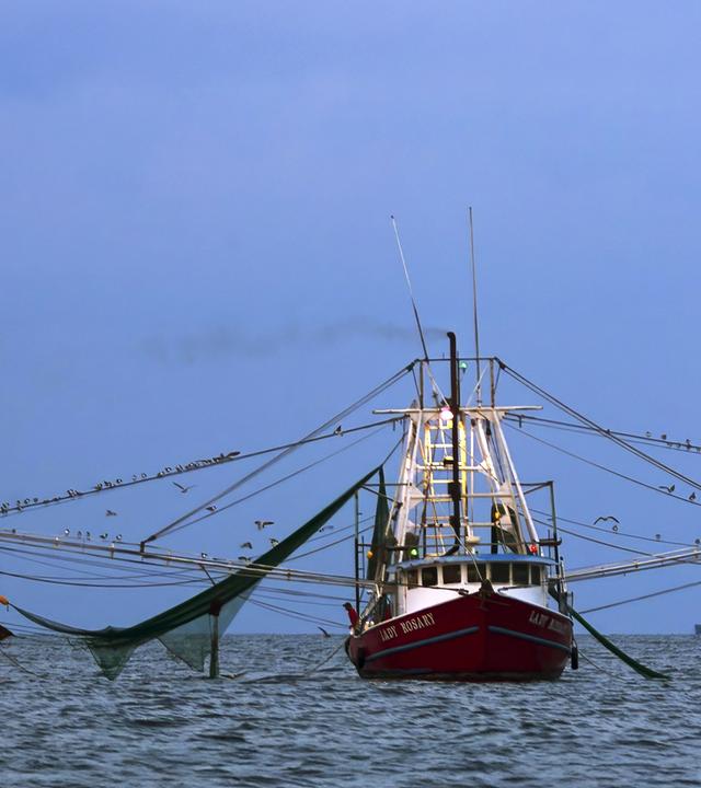 Auf dem Meer liegt ein Fischerboot mit ausgefahrenen Netzen.