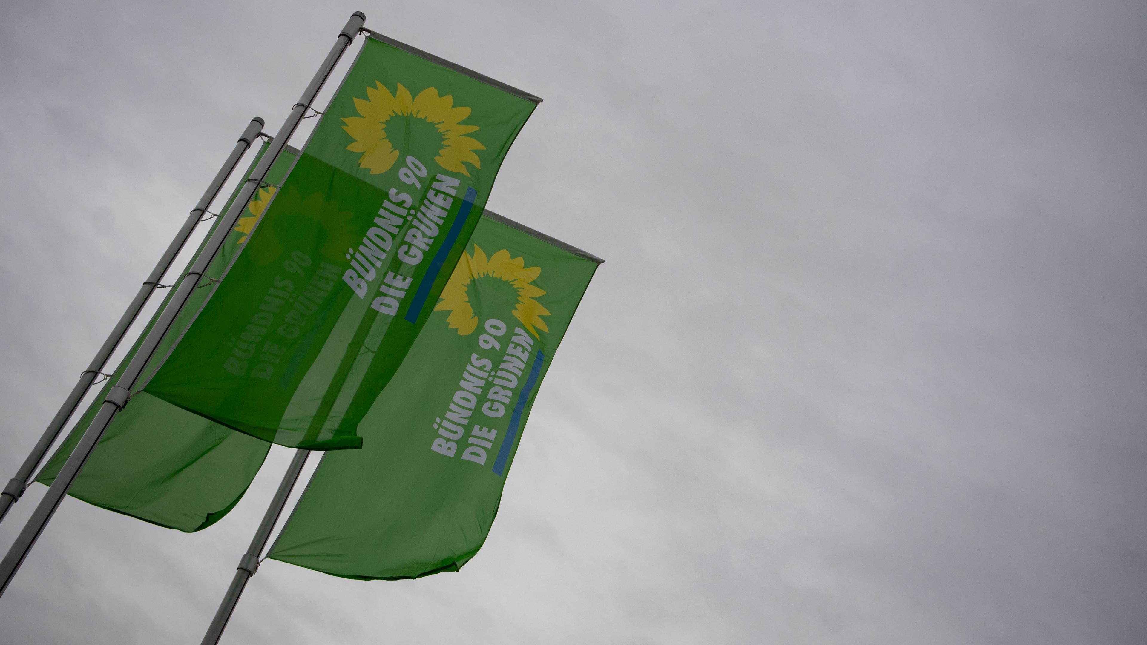 Flaggen mit dem Logo von Bündnis 90/Die Grünen, Archivbild