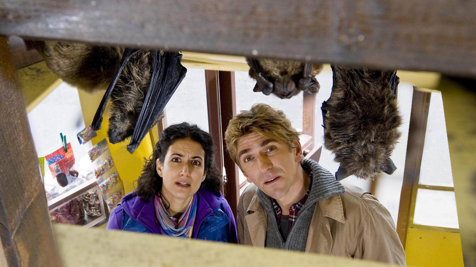 Fritz und Yasemin stehen fassungslos vor Fledermäusen, die im Kiosk hängen