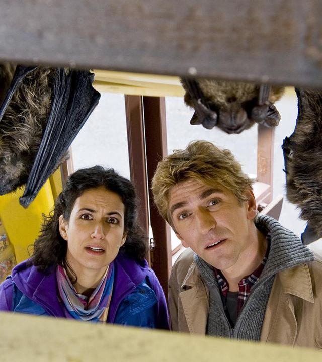 Fritz und Yasemin stehen fassungslos vor Fledermäusen, die im Kiosk hängen