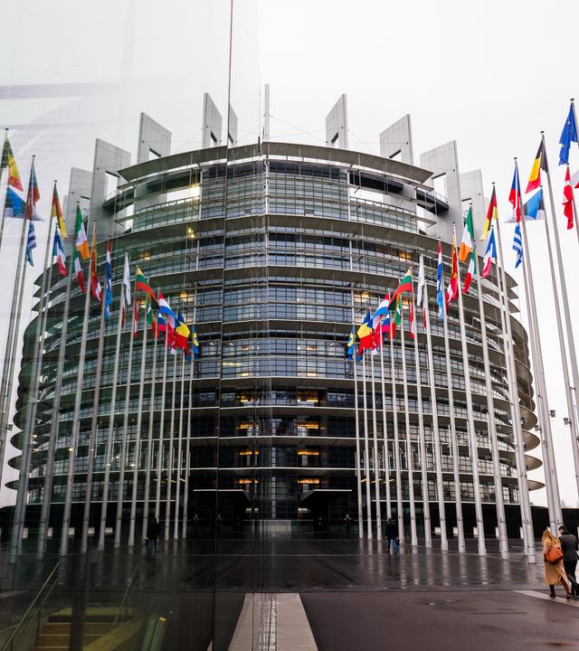 Die Fahnen der Mitgliedsstaaten der Europäischen Union und der Ukraine wehen vor dem Gebäude des Europäischen Parlaments und spiegeln sich dabei in einer gläsernen Wand.