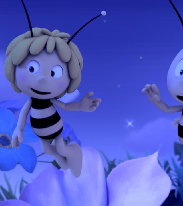 Flug durch die Nacht