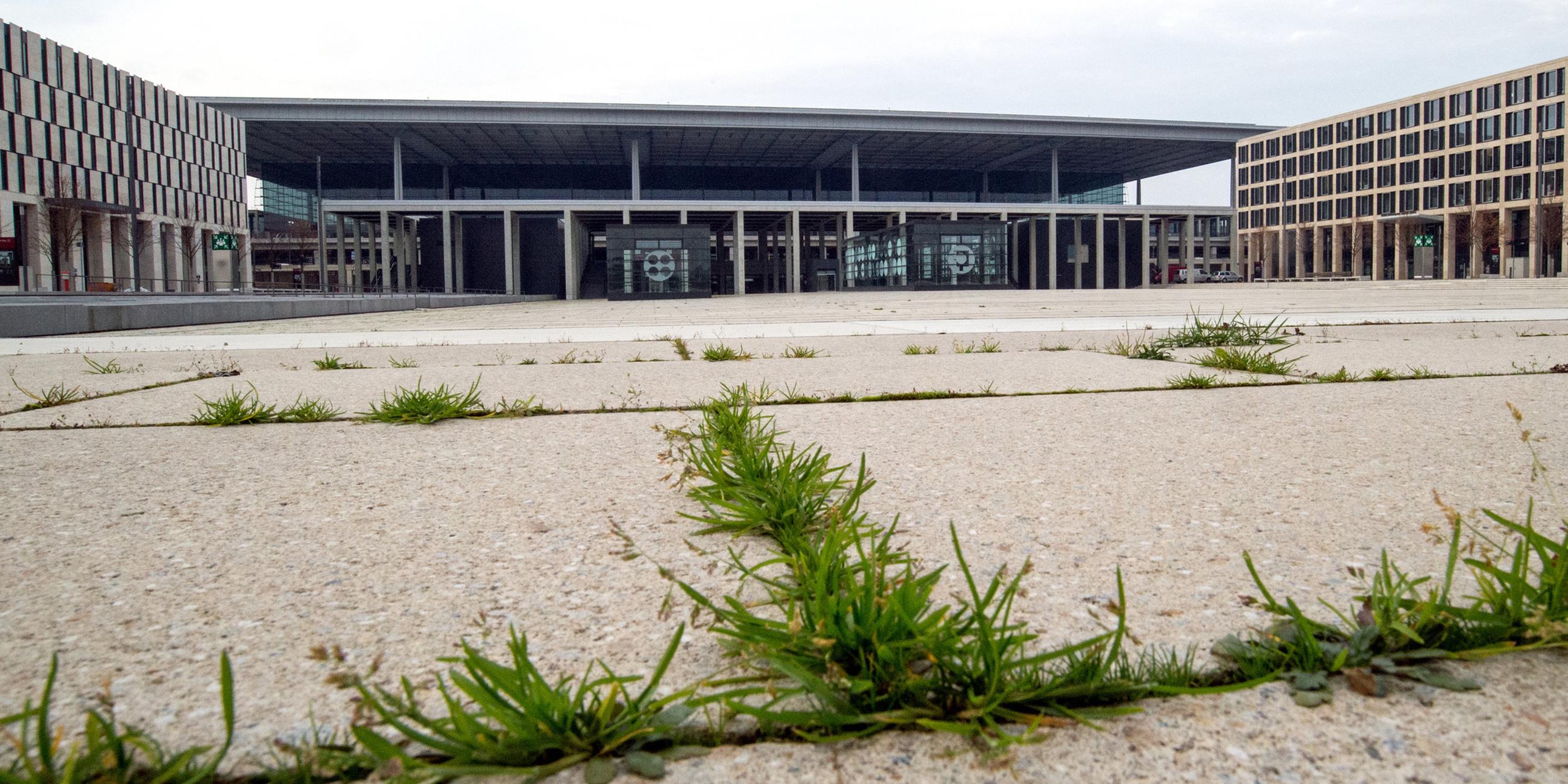 Archiv: Unkraut sprießt am 05.11.2014 aus den Betonfugen auf dem Willy-Brandt-Platz vor dem Terminal des Hauptstadtflughafens (BER) Berlin Brandenburg