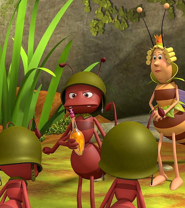 Paul überreicht den wertvollen gelben Flakon seinen beiden untergebenen Ameisen. Die Bienenkönigin steht hinter ihm.