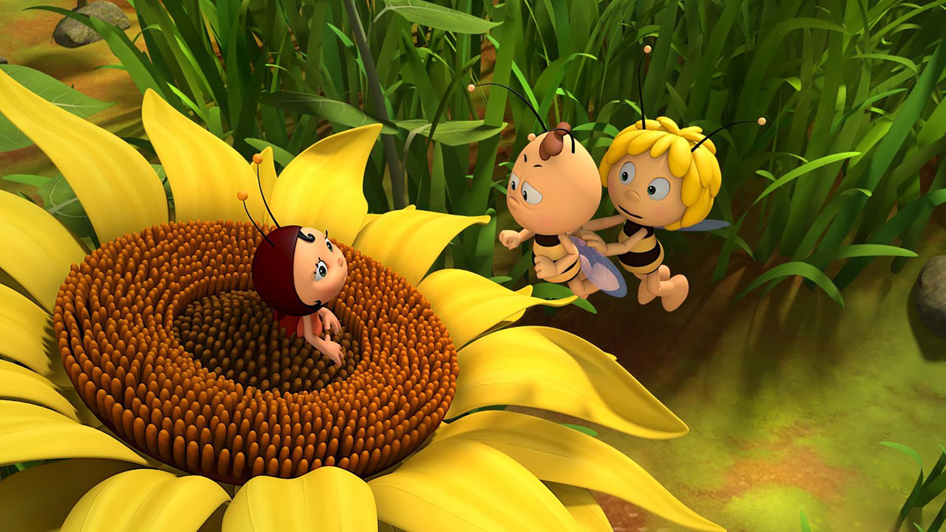 Lara sitzt auf einer Sonnenblume und erhält Besuch von Maja und Willi.