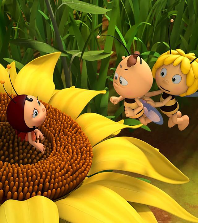 Lara sitzt auf einer Sonnenblume und erhält Besuch von Maja und Willi.