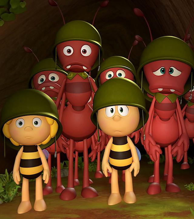 Maja und Willi im Trainingscamp der Ameisen. Weder sie, noch die anderen Ameisen wirken glücklich in ihrer Ausrüstung.