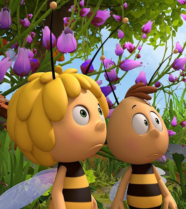 Flip, Maja und Willi staunen überrascht.