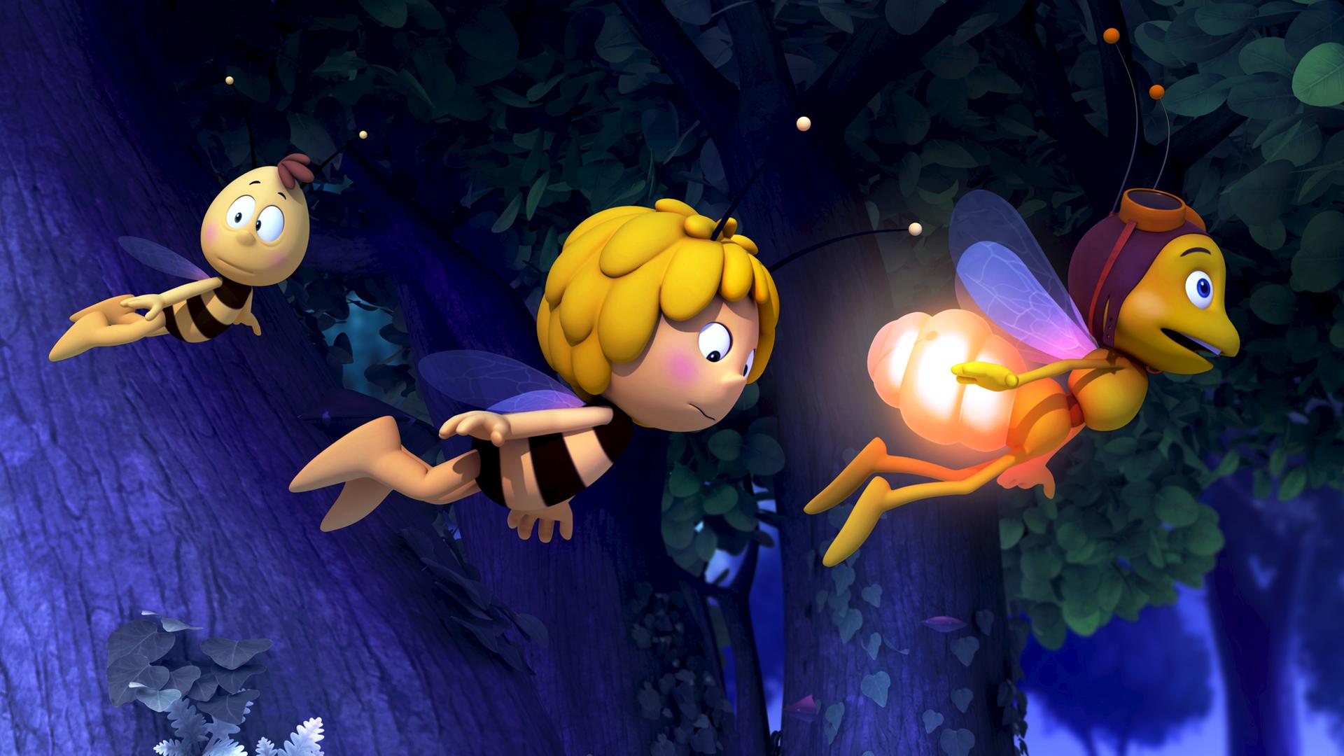 Willi und Maja folgen Glühwürmchen Glühhannes durch die Nacht.