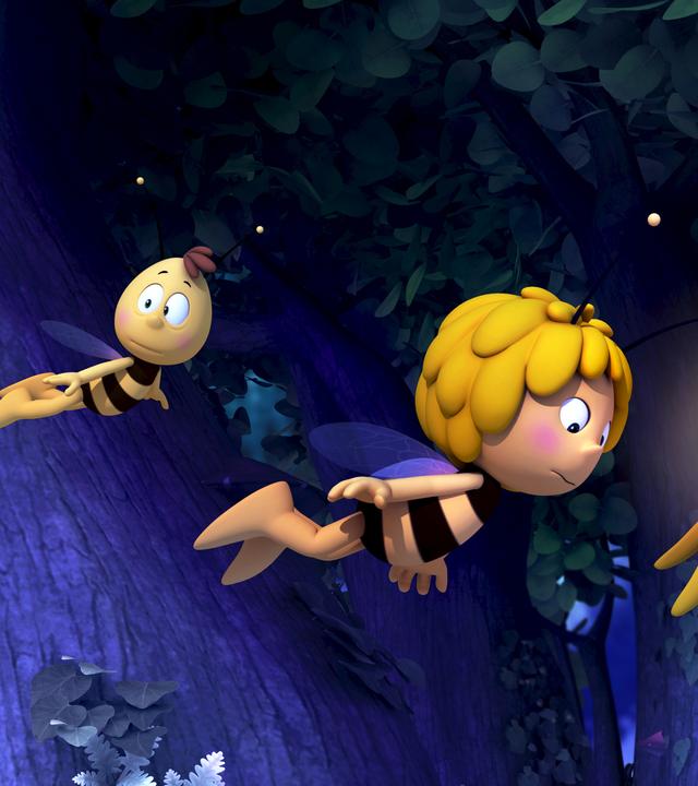 Willi und Maja folgen Glühwürmchen Glühhannes durch die Nacht.