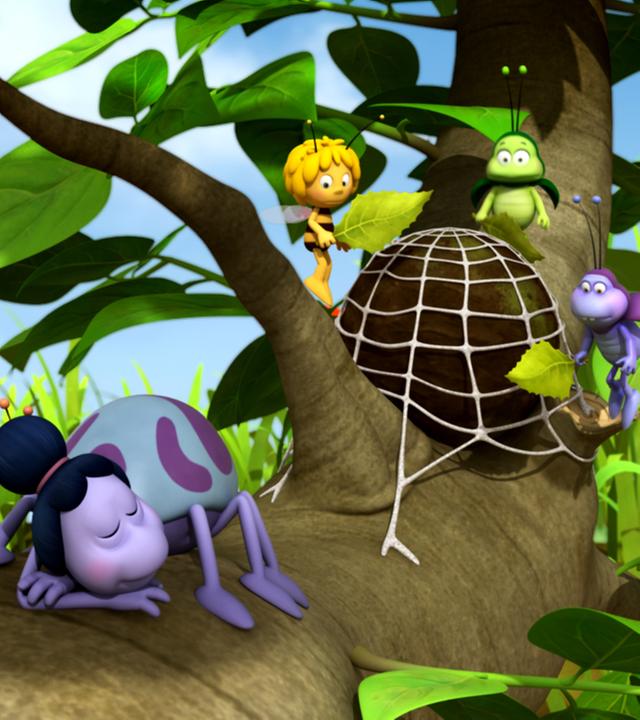 Maja, Kurt und eine Fliege versuchen, Kurts Mistkugel aus Theklas Spinnennetz zu befreien. Thekla schläft im Vordergrund.