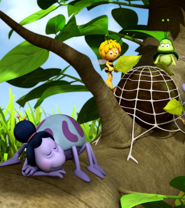 Maja, Kurt und eine Fliege versuchen, Kurts Mistkugel aus Theklas Spinnennetz zu befreien. Thekla schläft im Vordergrund.