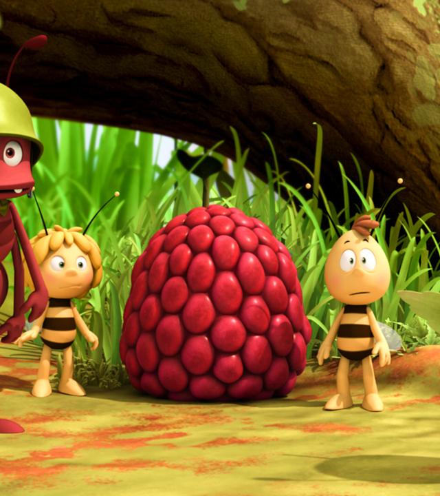 Maja und Willi stehen neben einer Himbeere. Ameisenführer Paul steht vorne dran und schaut einen Ameisensoldaten verdutzt an. 