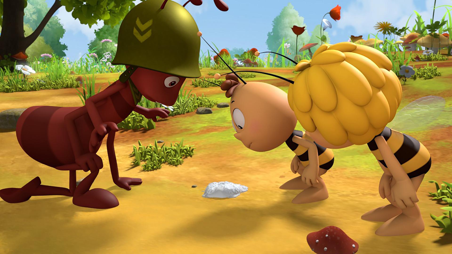 Ameisenoberst Paul, Maja und Willi untersuchen eine süße, weiße Spur.