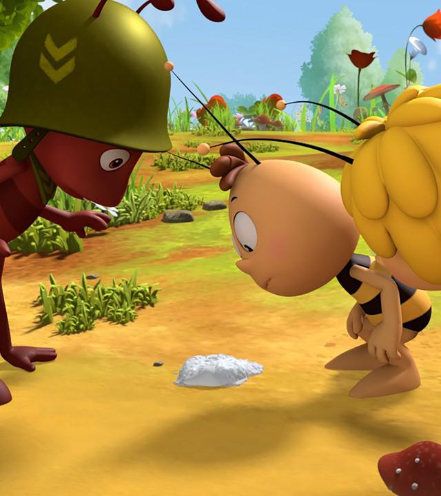 Ameisenoberst Paul, Maja und Willi untersuchen eine süße, weiße Spur.