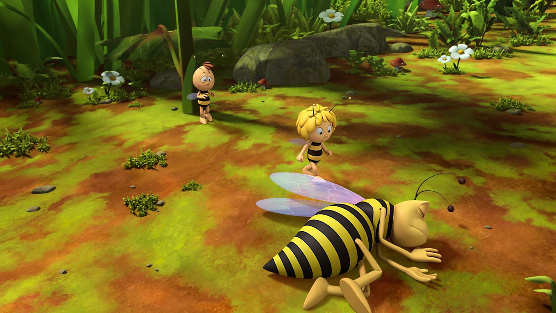 Piekser liegt bewusstlos auf der Wiese. Maja eilt zu ihm, Willi lehnt mit dem Rücken an einem Blumenstängel.