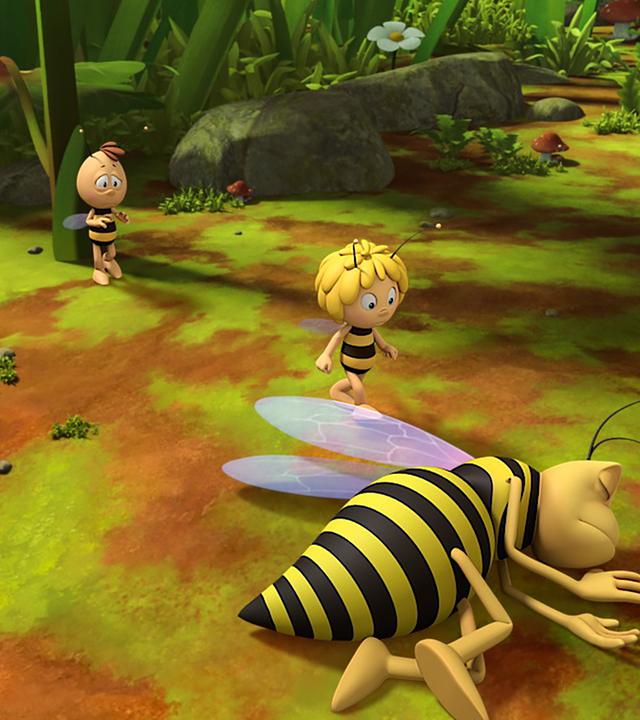 Piekser liegt bewusstlos auf der Wiese. Maja eilt zu ihm, Willi lehnt mit dem Rücken an einem Blumenstängel.