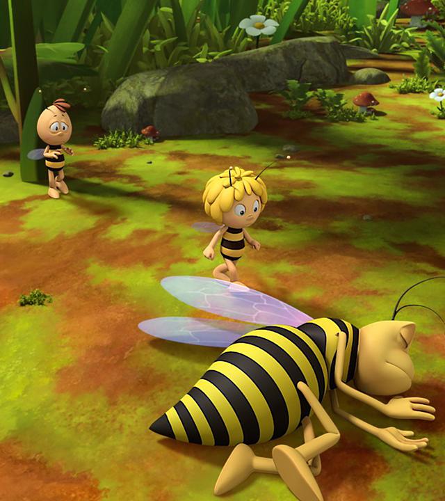 Piekser liegt bewusstlos auf der Wiese. Maja eilt zu ihm, Willi lehnt mit dem Rücken an einem Blumenstängel.