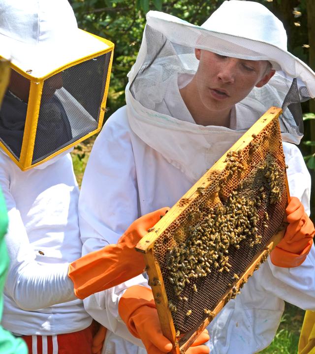 Die Jungs versuchen sich als Imker, mit entsprechenden Anzügen und einer Wabe mit Bienen in der Hand.