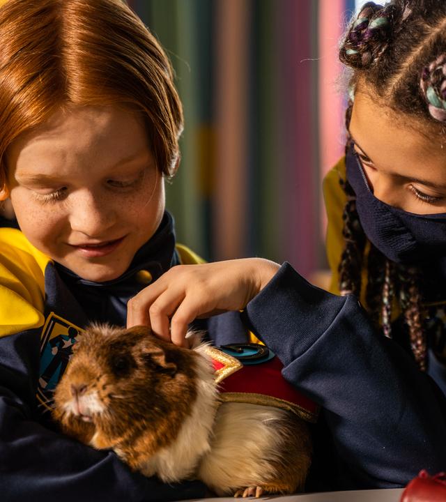 Magnus hält im Klassenzimmer glücklich lächelnd ein Meerschweinchen in seinen Armen und streichelt es mit seiner linken Hand. Rechts von ihm befindet sich Jenny, die sich mit einer Schutzmaske im Gesicht zum Meerschweinchen beugt.