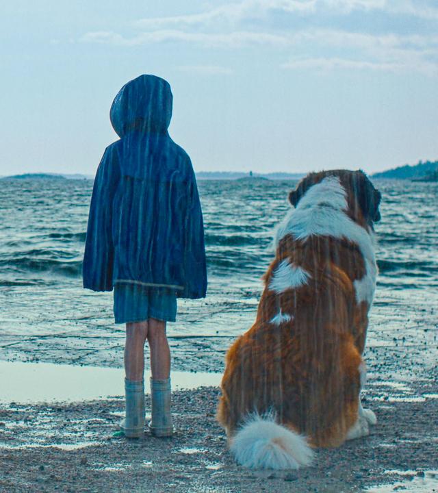 Tjorven steht am Ufer, daneben sitzt ihr Hund Bootsmann, beide sind nur von hinten zu sehen. Vor ihnen erstreckt sich ein weitläufiges, leicht aufgewühltes Gewässer unter einem bewölkten Himmel. Etwas weiter draußen fährt ein weißes Schiff, das sich von ihnen entfernt. Der Himmel ist grau-blau, stellenweise von Wolken bedeckt. An der Seite steht ein einfaches Holzgestell mit einem Schild, auf dem "Saltkråkan" steht.