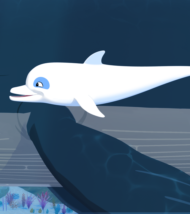 Zoom schwimmt mit einem Wal am Meeresgrund.