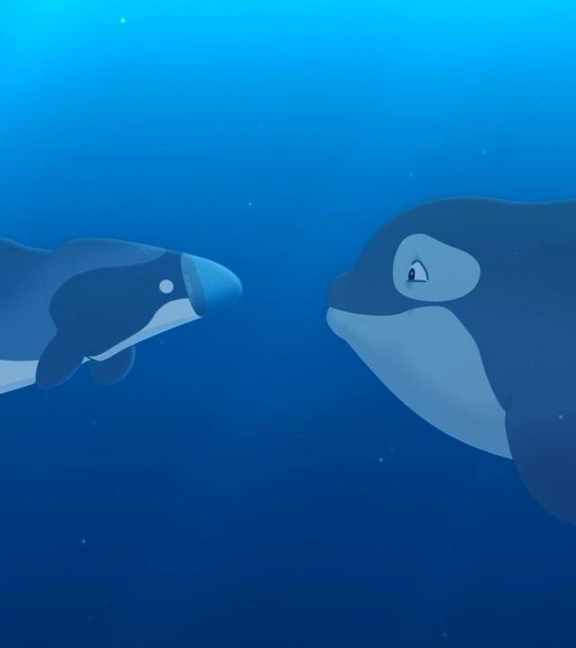Kaya, der mechanische Delfin, nimmt unter Wasser Kontakt mit einem anderen großen Orka-Wal auf.