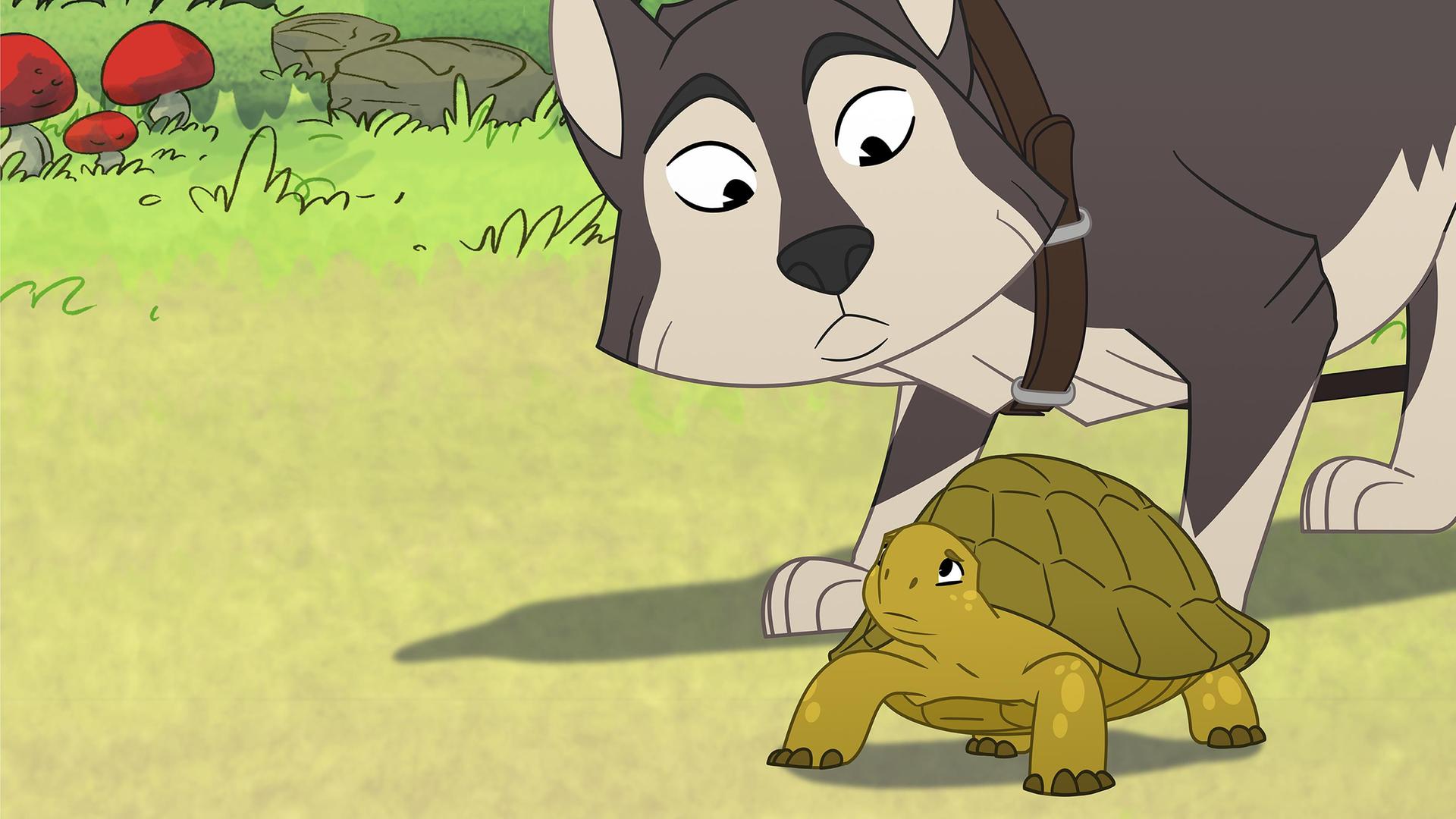 Auf einer grünen Wiese steht die grüne Schildkröte Törtel. Besorgt blickt sie nach oben zu dem großen Hund Boris. Er trägt ein braunes Halsband. Der Hund schaut erwartungsvoll und mit geducktem Kopf zu Törtel hinab.