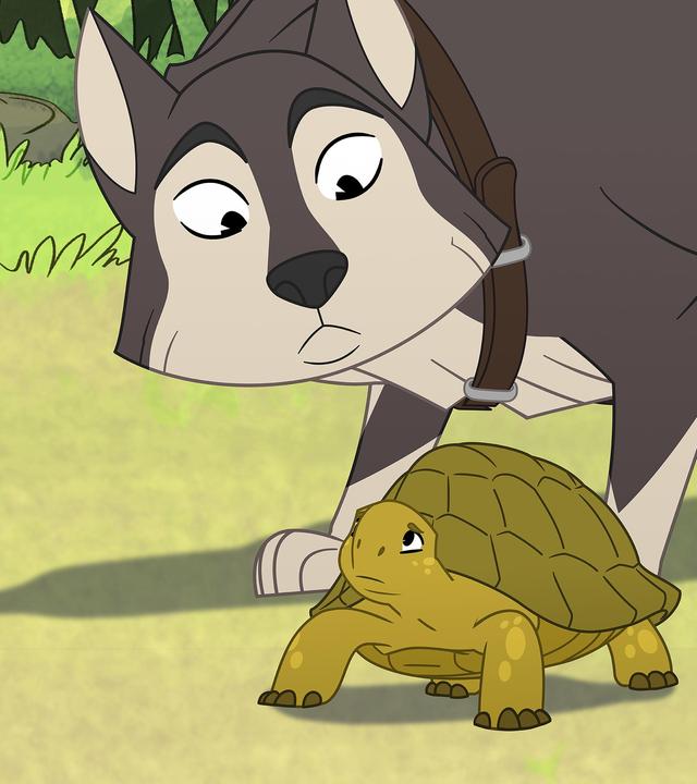 Auf einer grünen Wiese steht die grüne Schildkröte Törtel. Besorgt blickt sie nach oben zu dem großen Hund Boris. Er trägt ein braunes Halsband. Der Hund schaut erwartungsvoll und mit geducktem Kopf zu Törtel hinab.