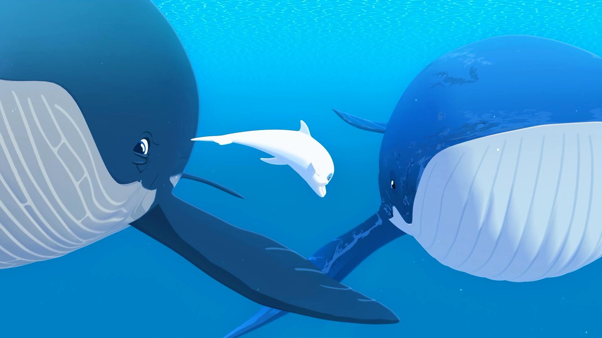 Zoom schwimmt zwischen zwei großen Walen unter Wasser im Meer.