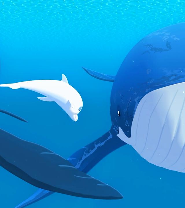 Zoom schwimmt zwischen zwei großen Walen unter Wasser im Meer.