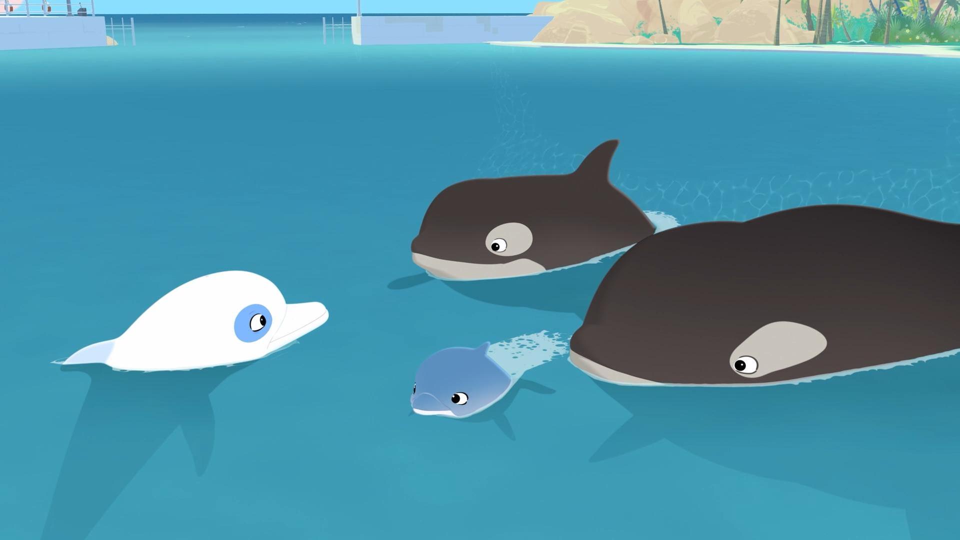 Im Meer: Zwei Orkas schwimmen auf Zoom zu. In der Mitte vor ihnen schwimmt ein kleiner blauer Delfin.