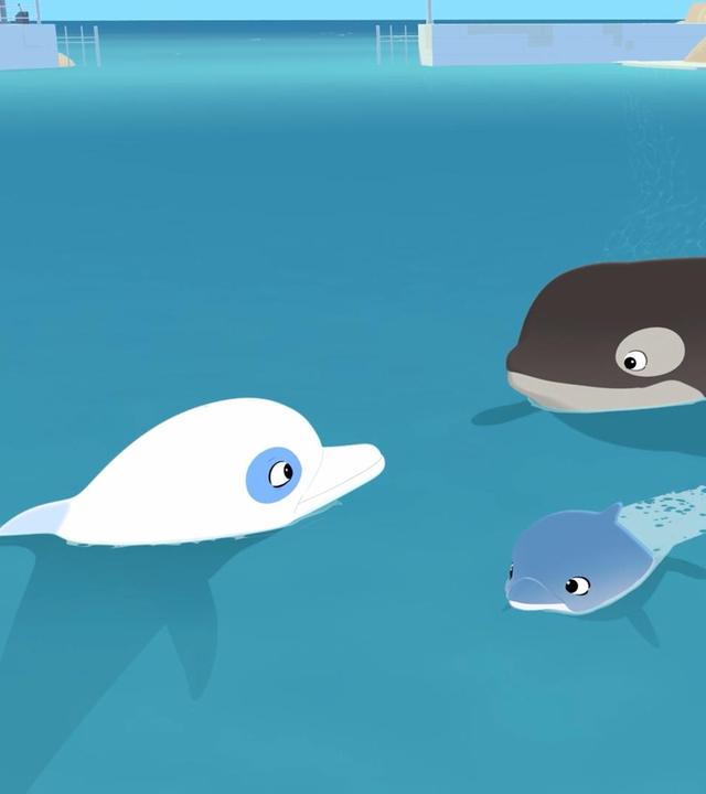 Im Meer: Zwei Orkas schwimmen auf Zoom zu. In der Mitte vor ihnen schwimmt ein kleiner blauer Delfin.