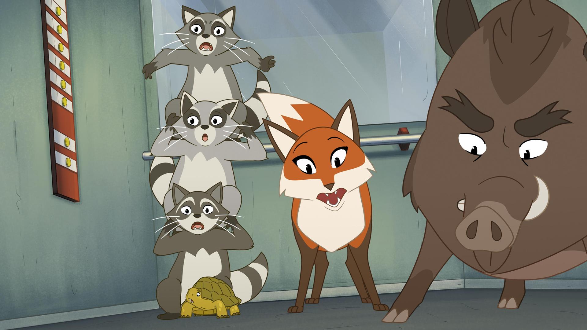 In einem Aufzug sitzen die drei grauen Waschbären Stine, Asta und Cally jeweils auf ihren Schultern übereinander. Vor ihnen steht die grüne Schildkröte Törtel. Rechts daneben stehen Füchsin Wendy und das große Wildschwein Grrmpf. Alle schauen erschrocken.
