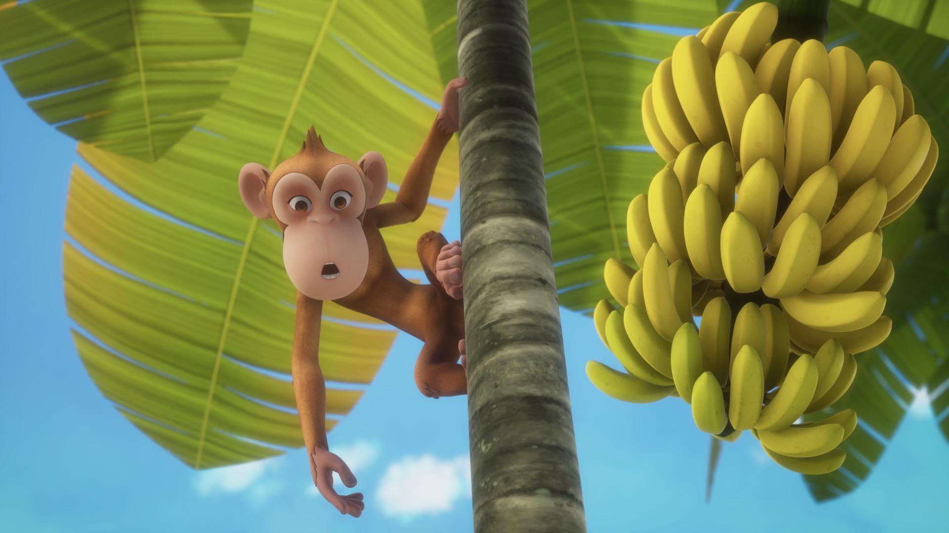 Seitlich am Stamm einer Bananenstaude hält sich ein Affe mit den Füßen und einer Hand fest. Er schaut interessiert nach unten.