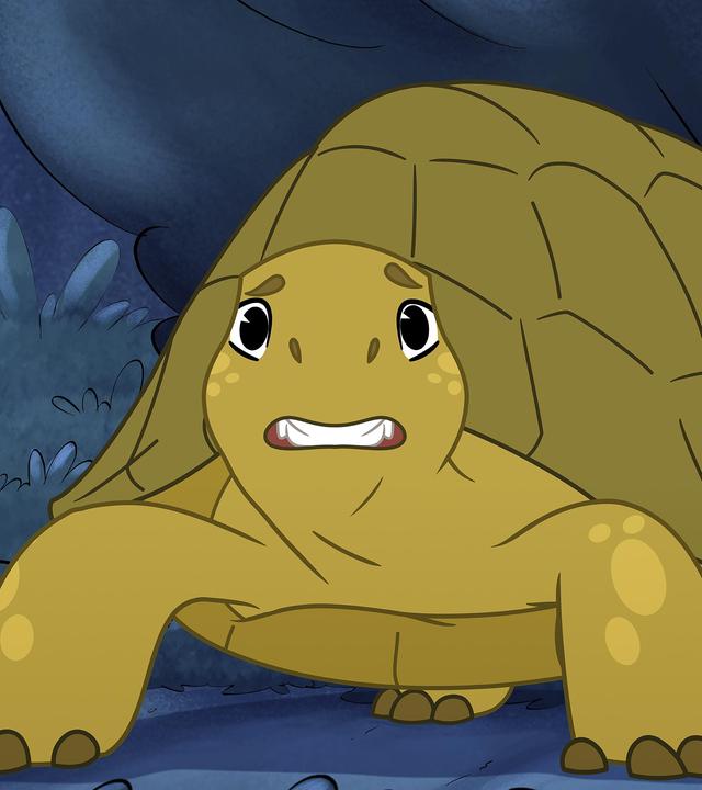 Die grüne Schildkröte Törtel schaut mit angsterfülltem Blick in die Kamera. Im Hintergrund sind Büsche. Es scheint Nacht zu sein.