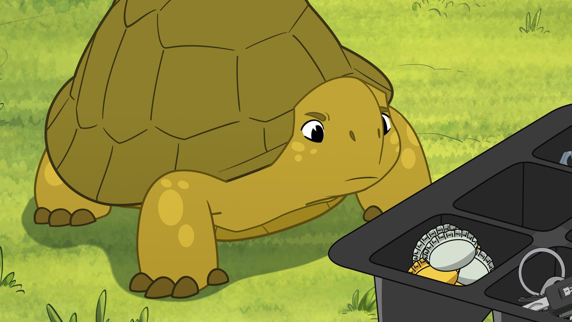 Schildkröte Törtel steht auf dem Rasen vor einem schwarzen Kästchen mit jeder Menge glänzender Gegenstände. Dazu gehören beispielsweise Kronkorken, aber auch ein Schlüssel liegt darin. Er schaut diese mit skeptischem Blick an.