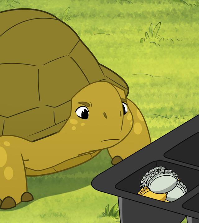 Schildkröte Törtel steht auf dem Rasen vor einem schwarzen Kästchen mit jeder Menge glänzender Gegenstände. Dazu gehören beispielsweise Kronkorken, aber auch ein Schlüssel liegt darin. Er schaut diese mit skeptischem Blick an.