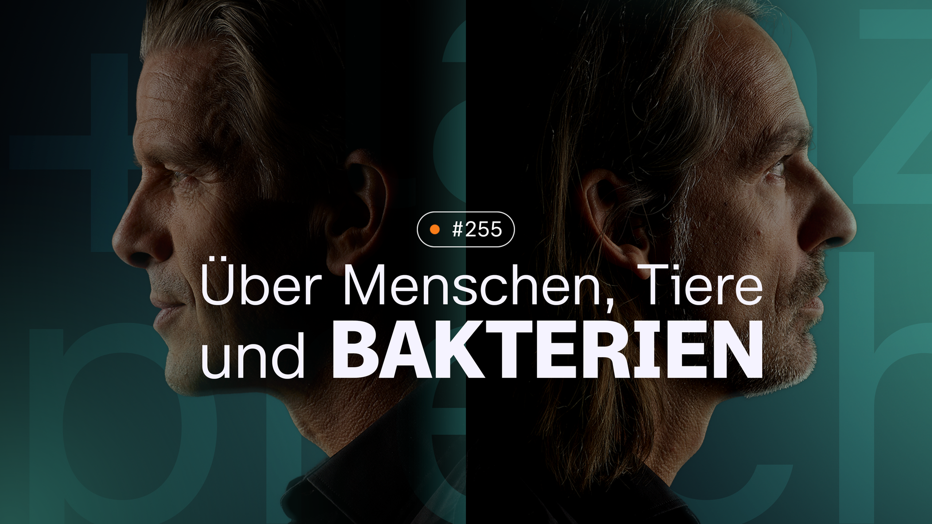 Links im Bild ist das Seitenprofil von Markus Lanz zu sehen und auf der Rechten Seite das von Richard David Precht. Folgentitel und Folgennummer sind auch auf der Grafik erkennbar.