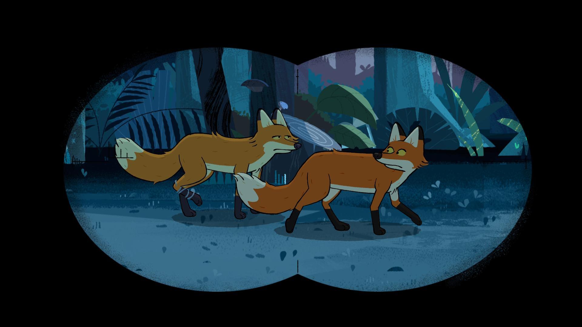 Beim Blick durch ein Fernglas sieht man zwei Füchse, die nachts durchs Reservat streifen.