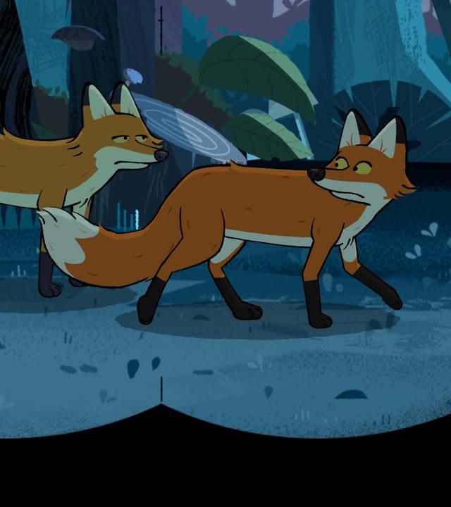 Beim Blick durch ein Fernglas sieht man zwei Füchse, die nachts durchs Reservat streifen.