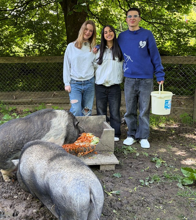 Drei Jugendliche stehen Arm in Arm in einem großen Gehege mit schulterhohem Zaun mitten im Wald. Im Vordergrund sind zwei graue Hängebauchschweine zu sehen, die sich über Gemüsestreifen in einem Holztrog hermachen. Die Jugendlichen stehen hinter dem Holztrog und grinsen in die Kamera. Ein Junge hält einen Plastikeimer in der Hand.