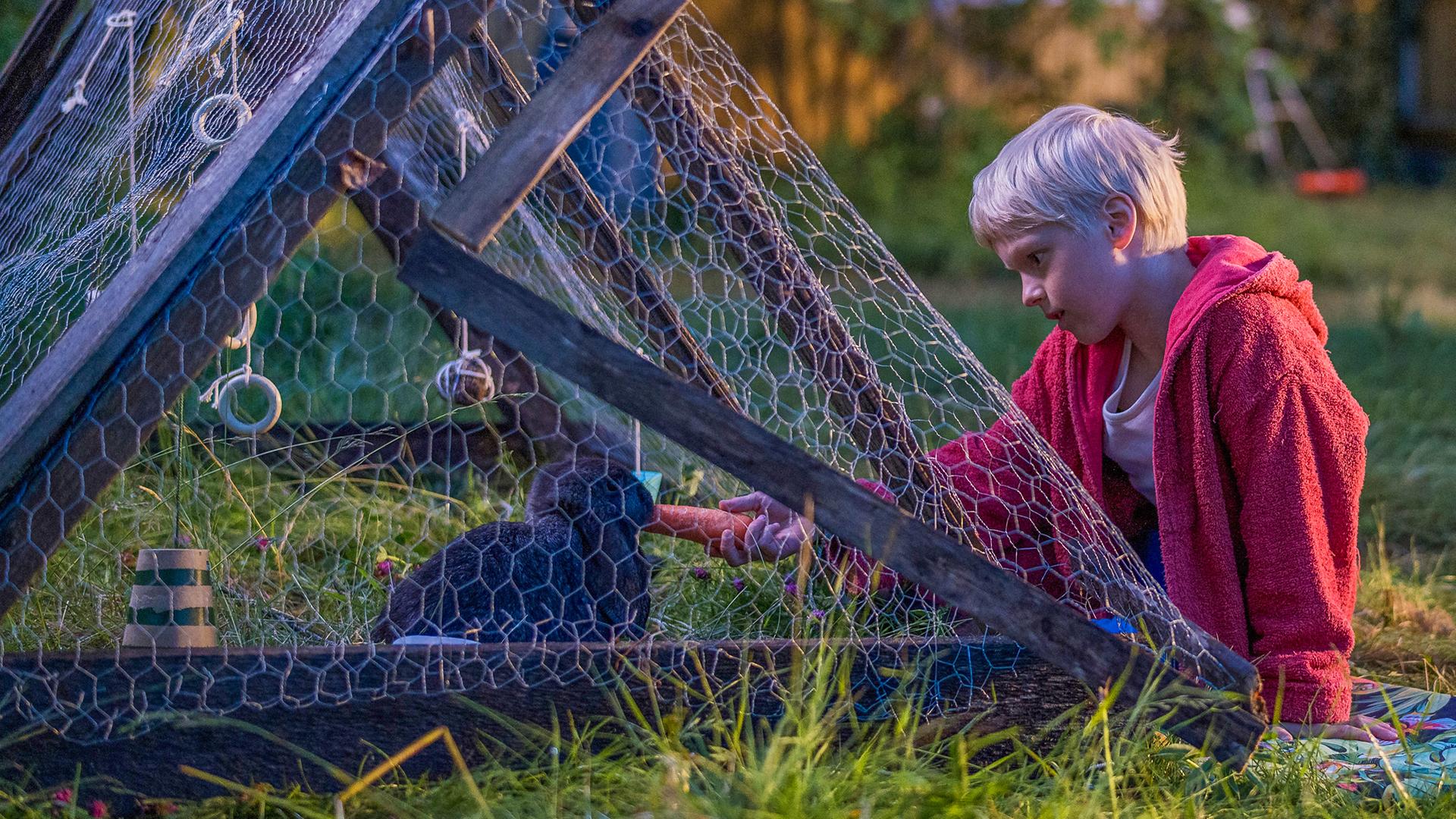 Pelle sitzt draußen im hohen, leicht verwilderten Gras neben einem kleinen Außengehege aus Holz und Drahtgitter. Vor ihm im Gehege sitzt ein dunkles Kaninchen, zu dem er sich aufmerksam und ruhig hinbeugt.
